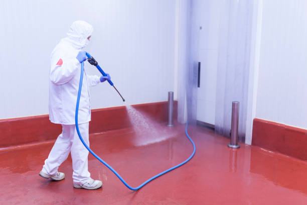 Best Fleet Vehicle Washing  in Holiday Shores, IL