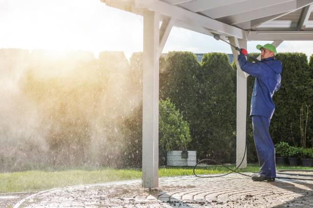 Best Spring Cleaning  in Holiday Shores, IL