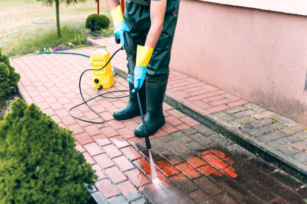 Best Roof Washing  in Holiday Shores, IL
