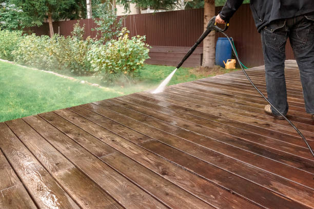 Best Boat and Dock Cleaning  in Holiday Shores, IL