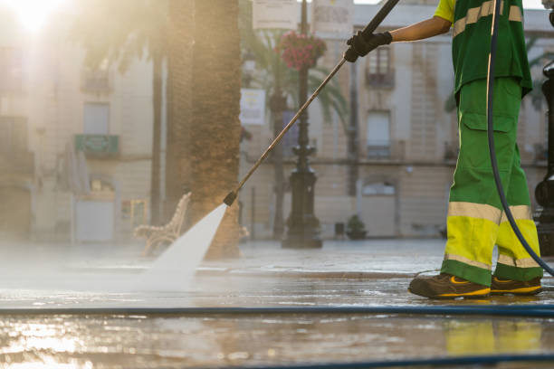 Best Dumpster Area Cleaning  in Holiday Shores, IL
